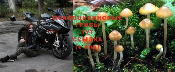 гидра Абдулино