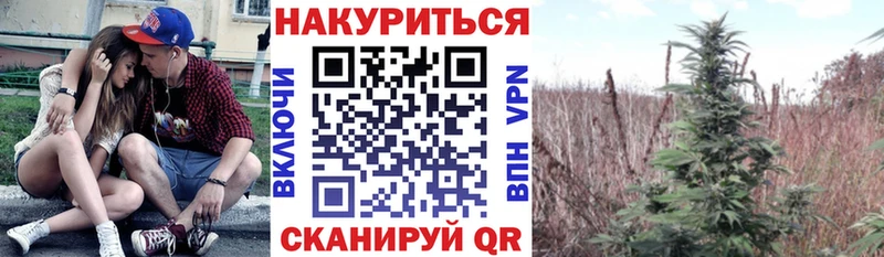 Бошки марихуана индика  купить закладку  мега вход  Белоозёрский 